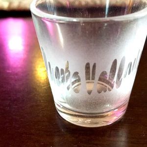 Puerto Vallarta Mexico Frosted Shot Souvenir Collector’s Glass